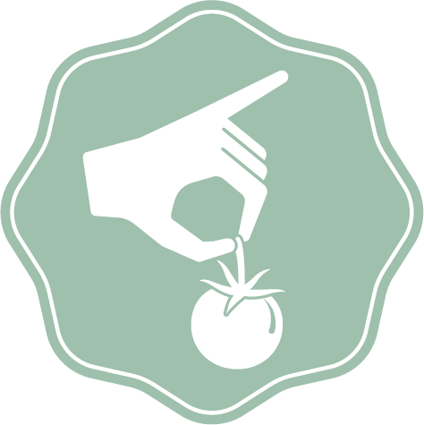osp symbol selezione rz