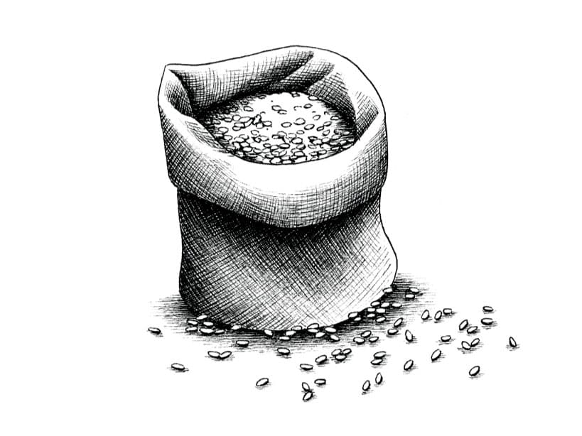 molino illu risotto 01@2