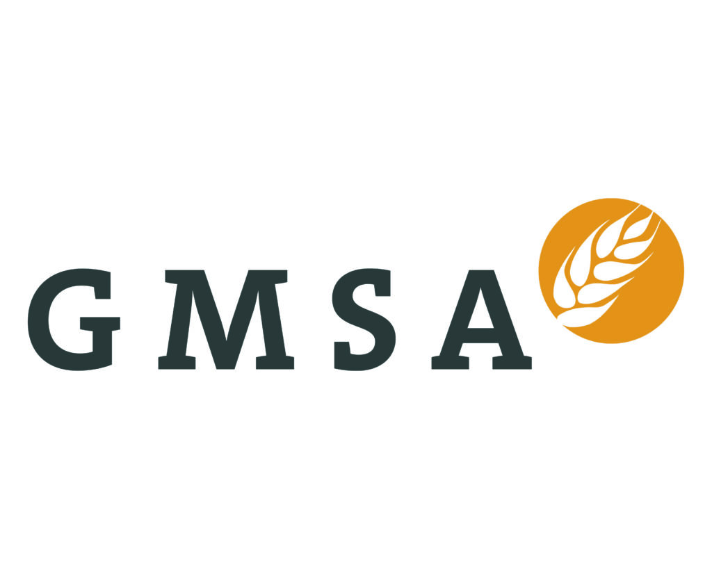 gmsa